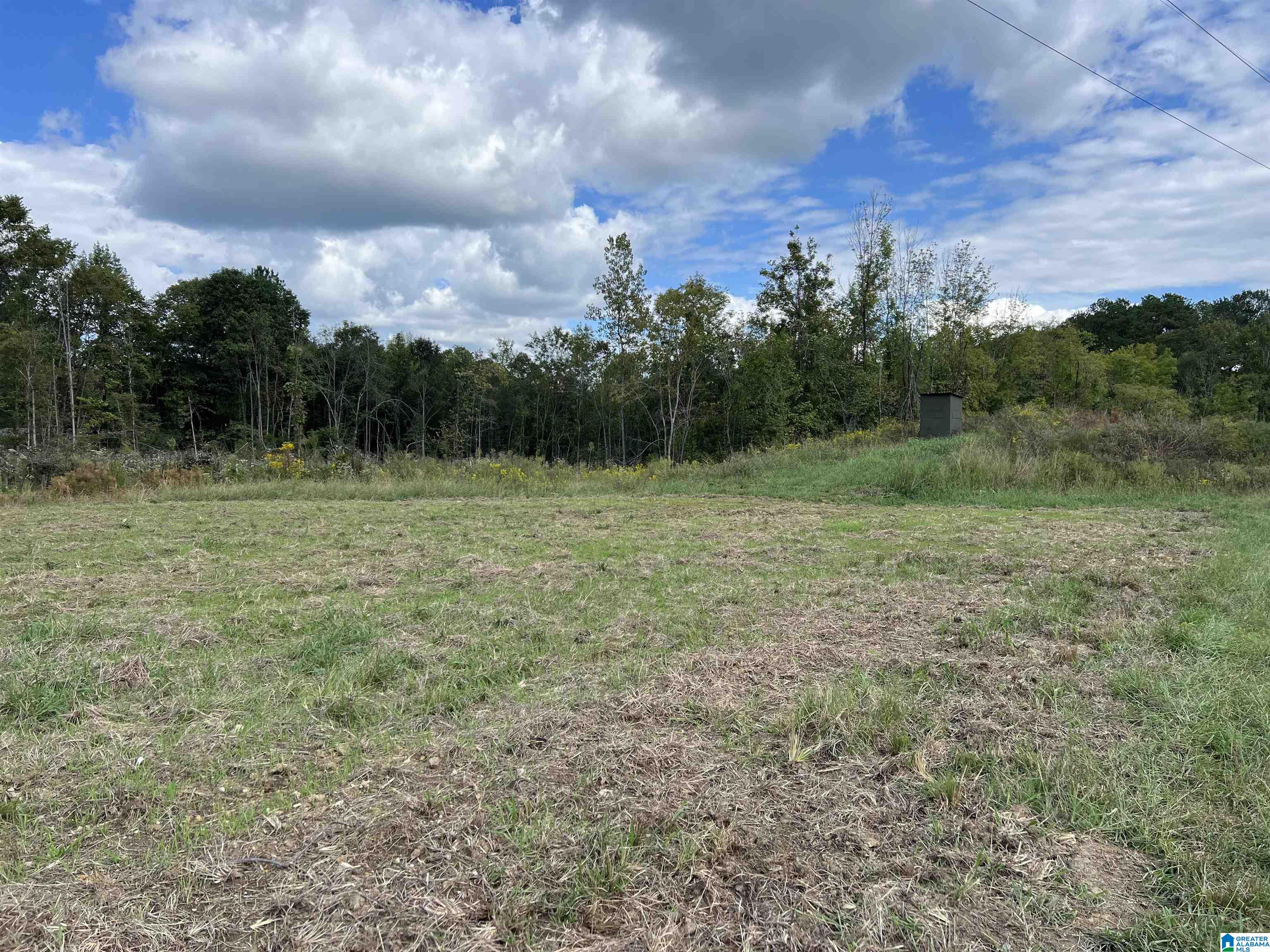 0 Sweatt Road Steele, AL 35987 - Photo 7 of 11