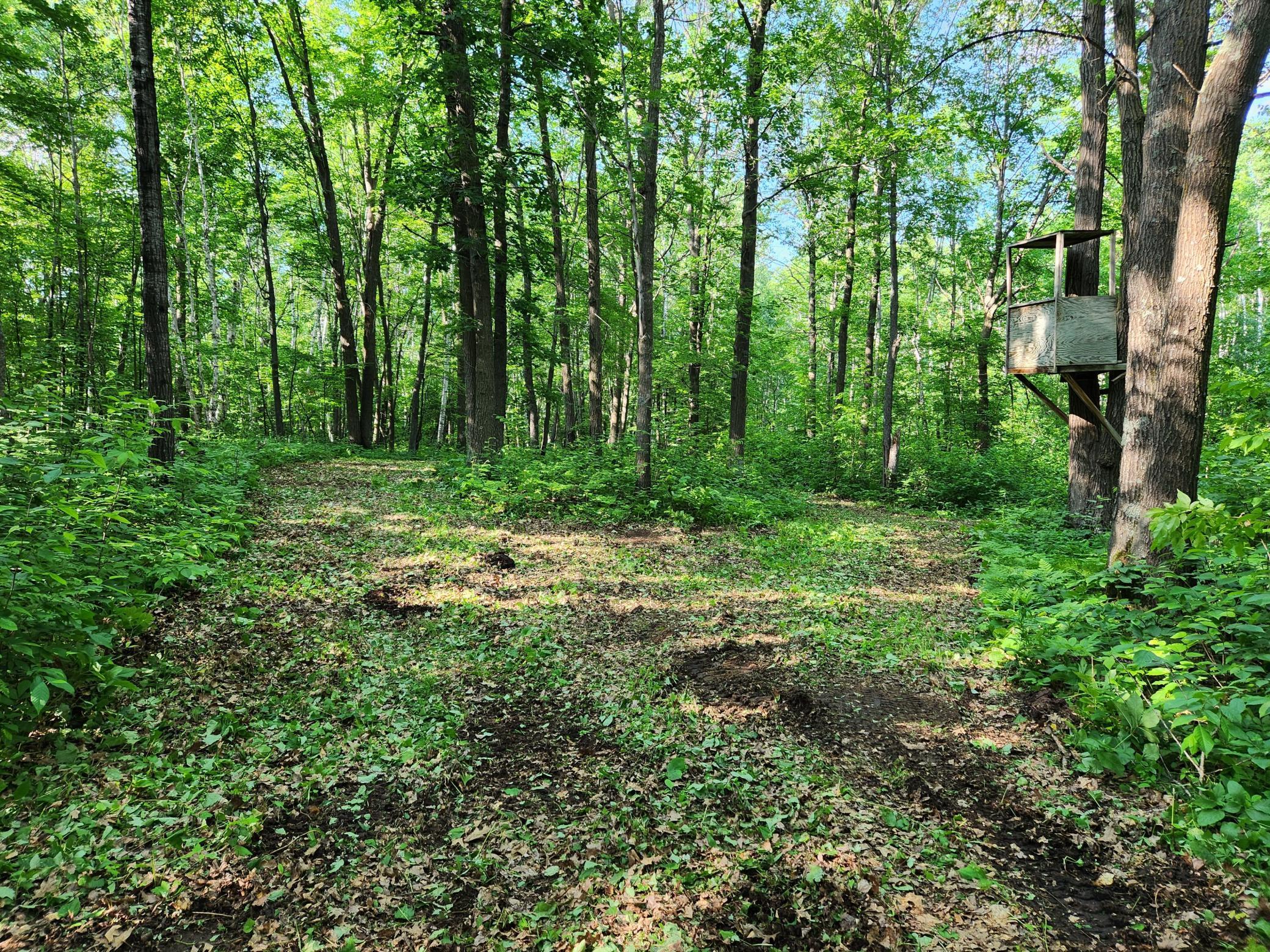 Tbd Tbd Nokay Hall Road Brainerd, MN 56401 - Photo 27 of 31