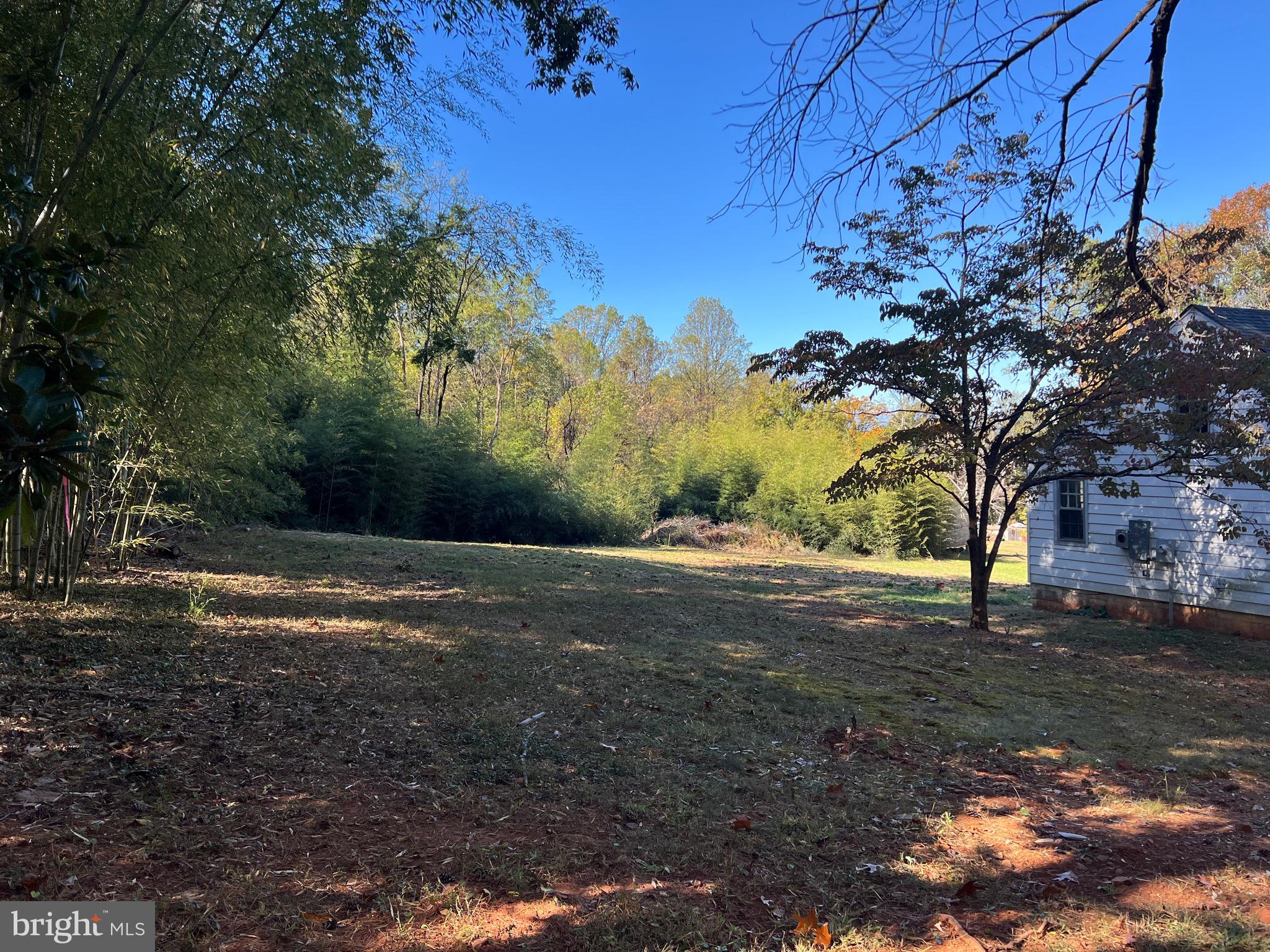 14251 Miller Road Orange, VA 22960 - Photo 12 of 22 a view of dirt yard with green space