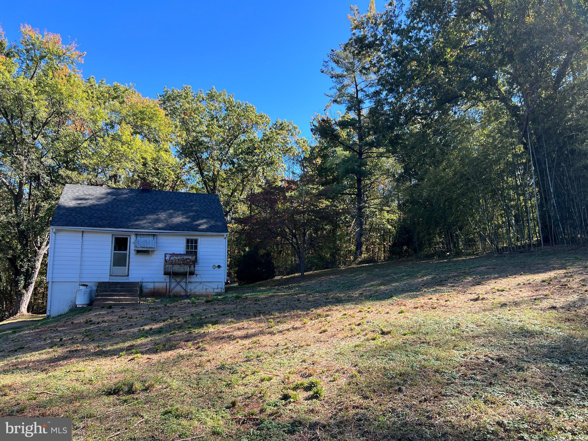 14251 Miller Road Orange, VA 22960 - Photo 6 of 22 a view of a yard with large tree and a wooden fence