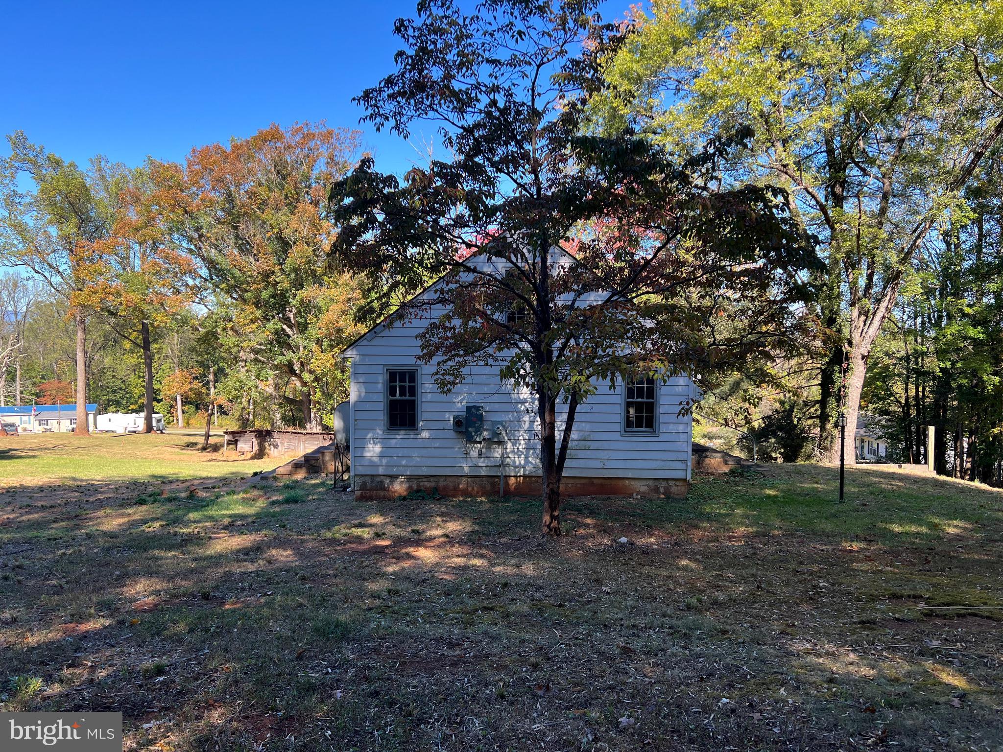 14251 Miller Road Orange, VA 22960 - Photo 10 of 22 a tree in the middle of a yard