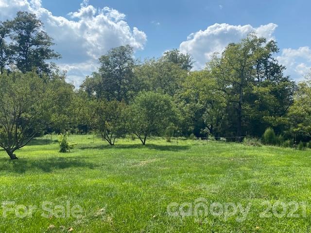 115 Amble Road Olin, NC 28660 - Photo 42 of 47 a view of grassy field with trees
