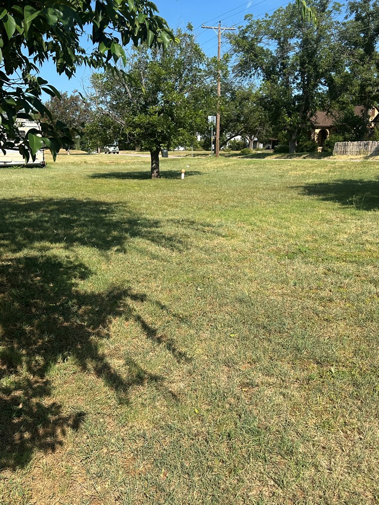 104 South Ave B Mason, TX 76856 - Photo 6 of 26 a view of yard with trees