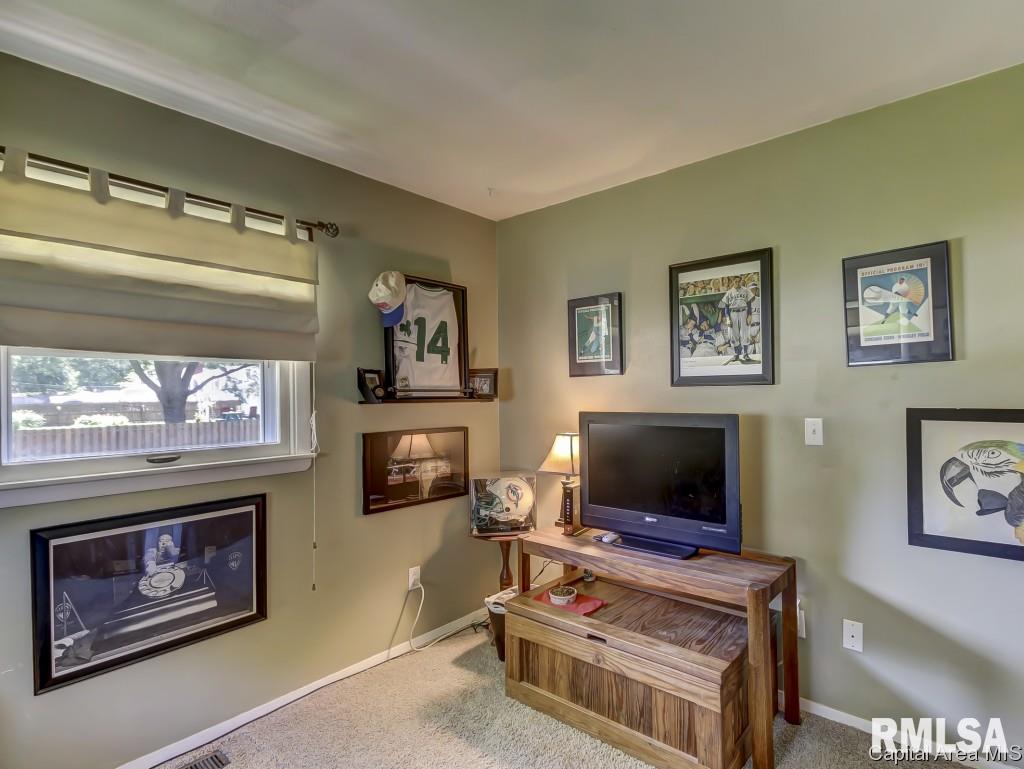 1531 Deerfield Road Chatham, IL 62629 - Photo 17 of 30 Gallery Image 17