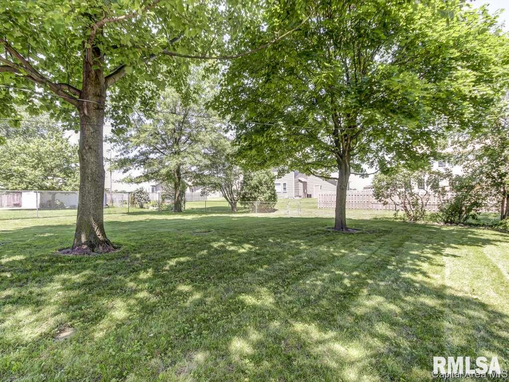 1531 Deerfield Road Chatham, IL 62629 - Photo 27 of 30 Gallery Image 27