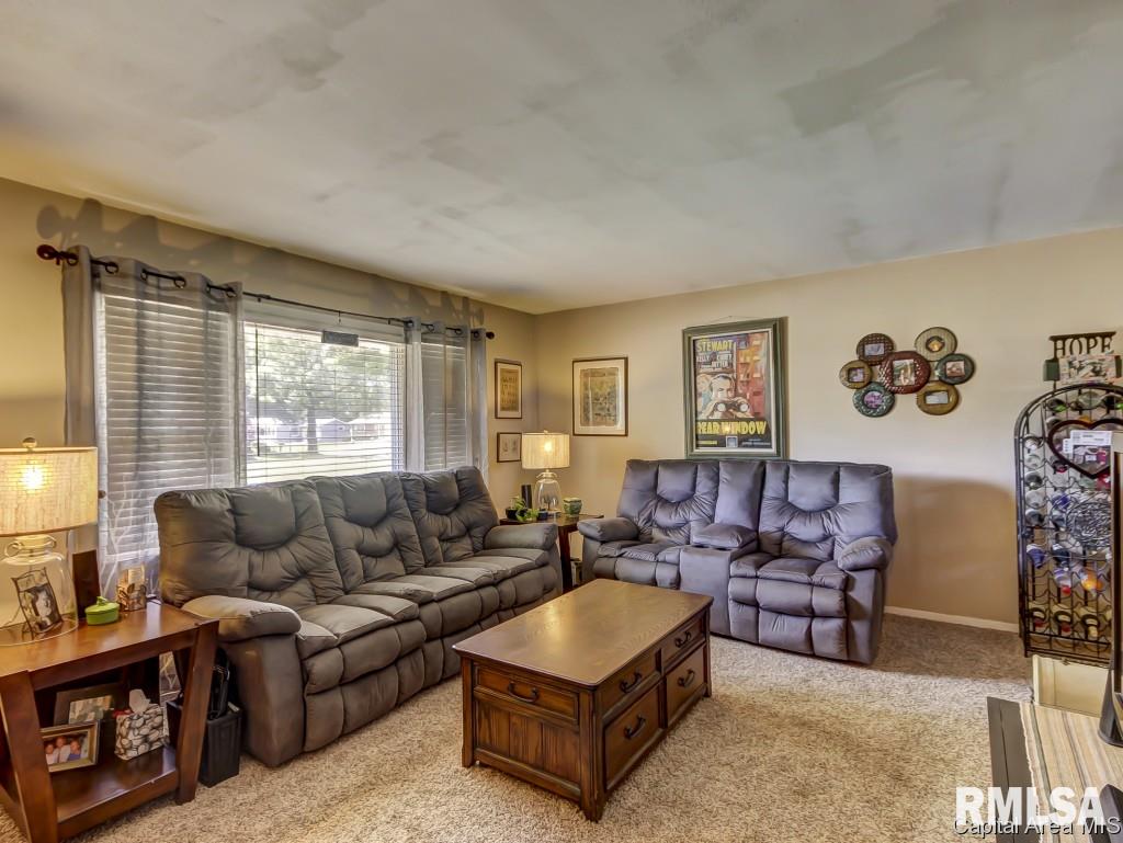 1531 Deerfield Road Chatham, IL 62629 - Photo 4 of 30 Gallery Image 4