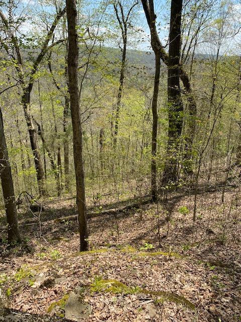 86.35-ac Corinth Road Buffalo, KY 42716 - Photo 13 of 14 IMG_0900