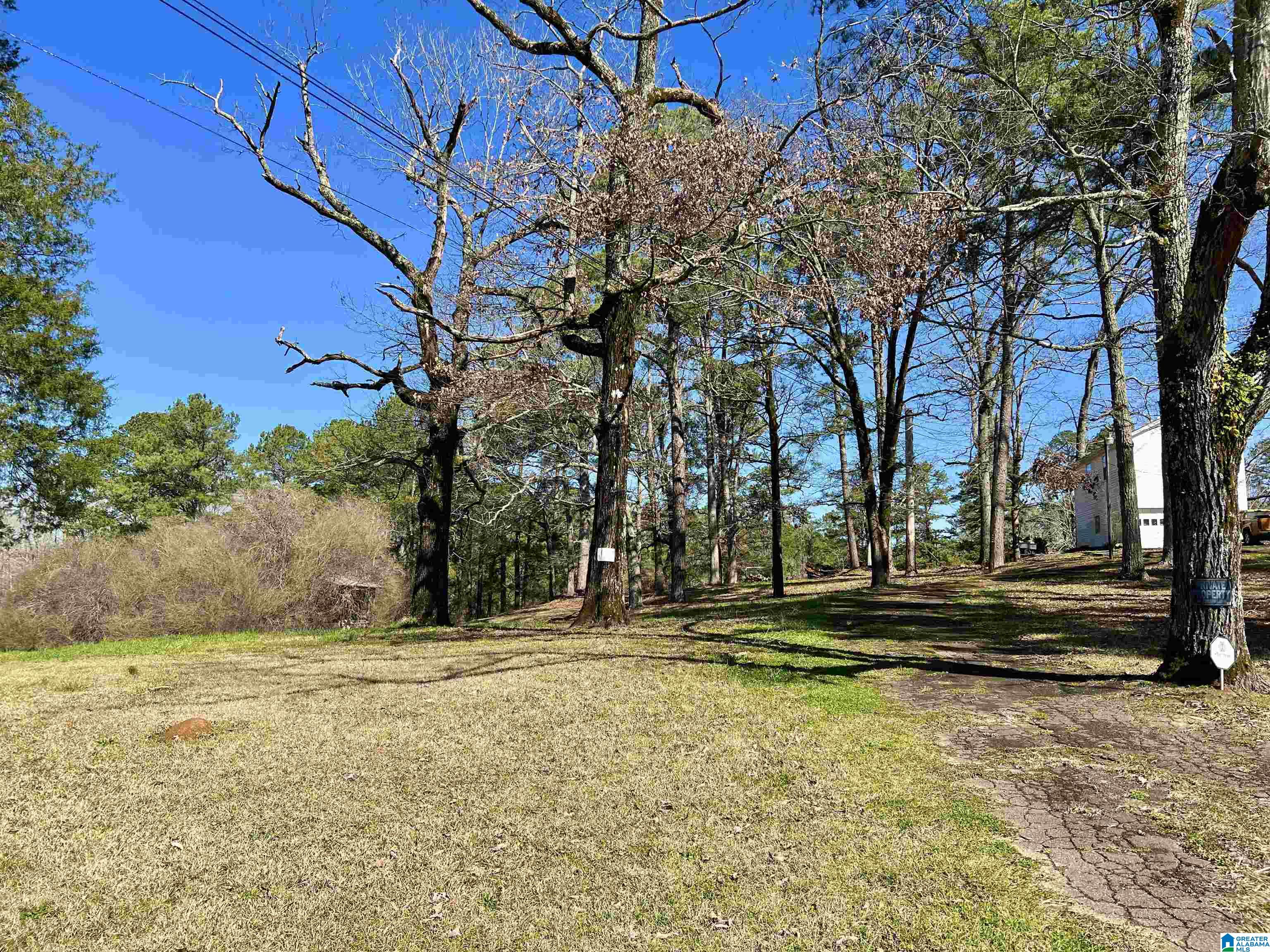 1120 Bob Glenn Road Morris, AL 35116 - Photo 10 of 11