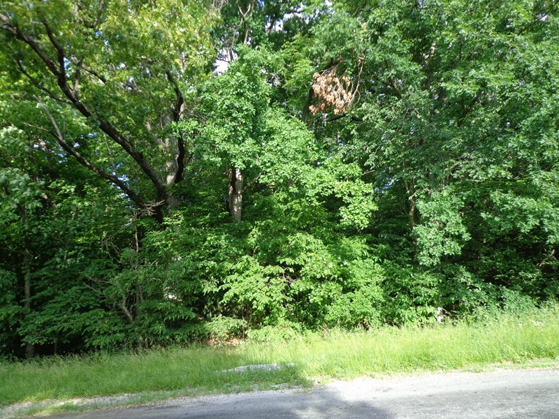 0 Grammer Road Carbondale, IL 62903 - Photo 1 of 1 Gallery Image 1