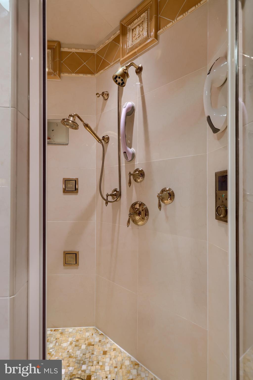 1328 Olde Saybrook Road Lancaster, PA 17601 - Photo 21 of 58 Shower in owner's bath