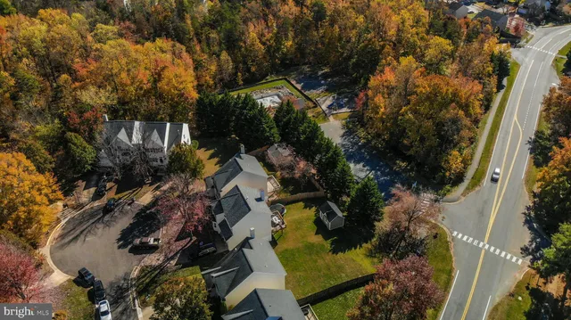 a view of a tree in a garden
