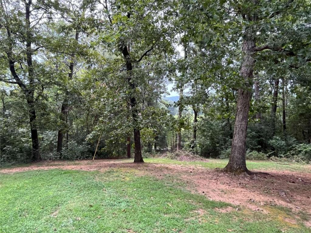 1225 Rush Chapel Road Northeast Rome, GA 30161 - Photo 19 of 20