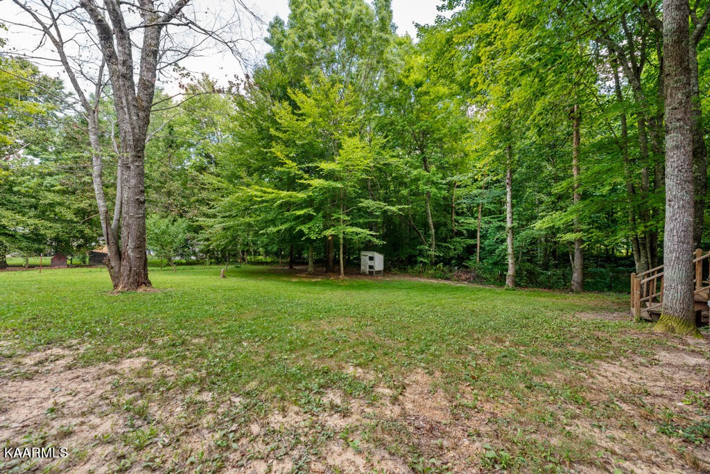 707 Jane Phillips Road Oneida, TN 37841 - Photo 22 of 25 a view of a big yard with trees