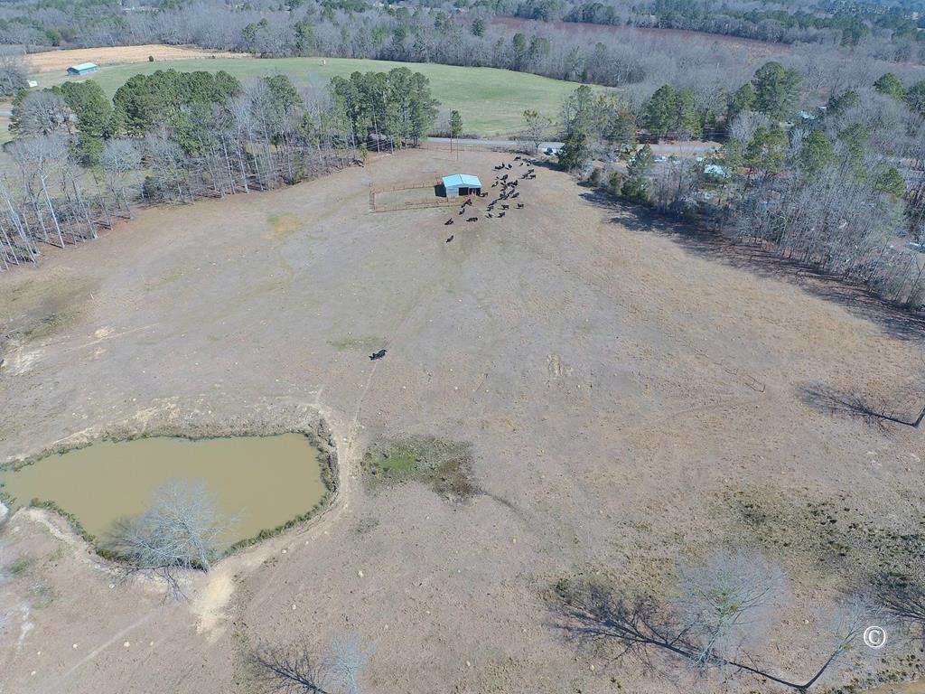 0 Reaves Road Woodbury, GA 30293 - Photo 1 of 6 Main View