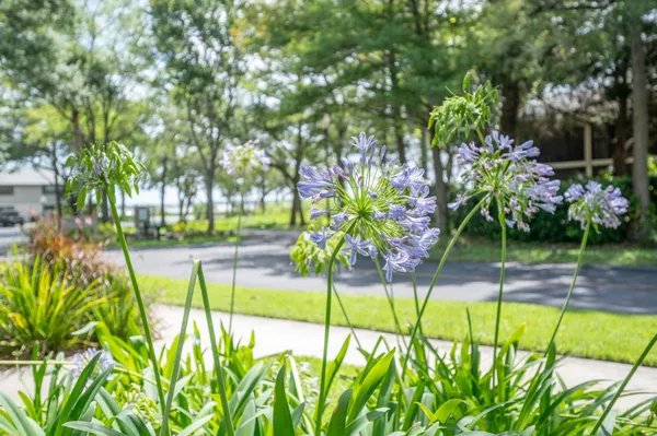 a street sign on a sidewalk next to a road
