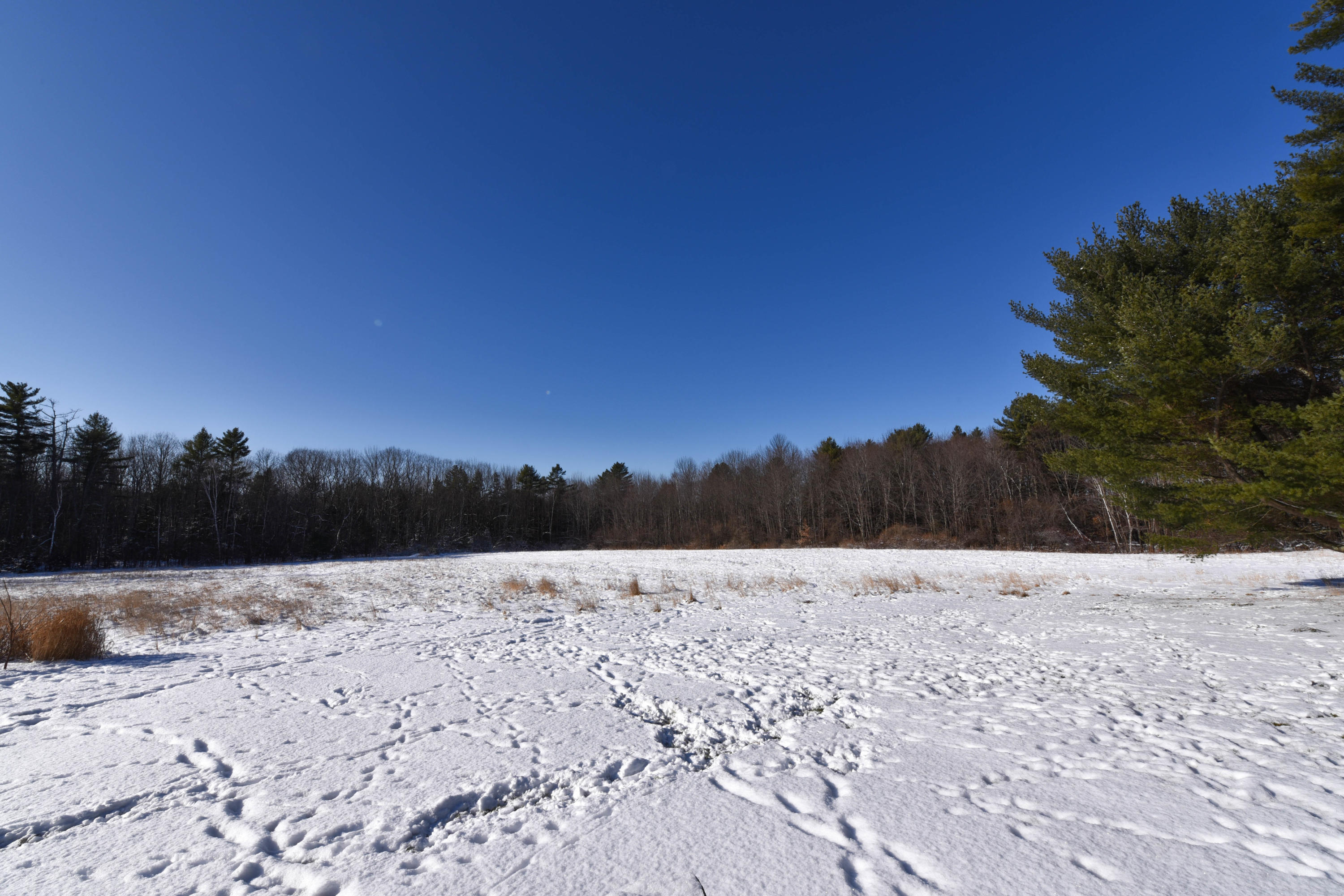 337 Intervale Road New Gloucester, ME 04260 - Photo 86 of 86 the field (1 of 1)