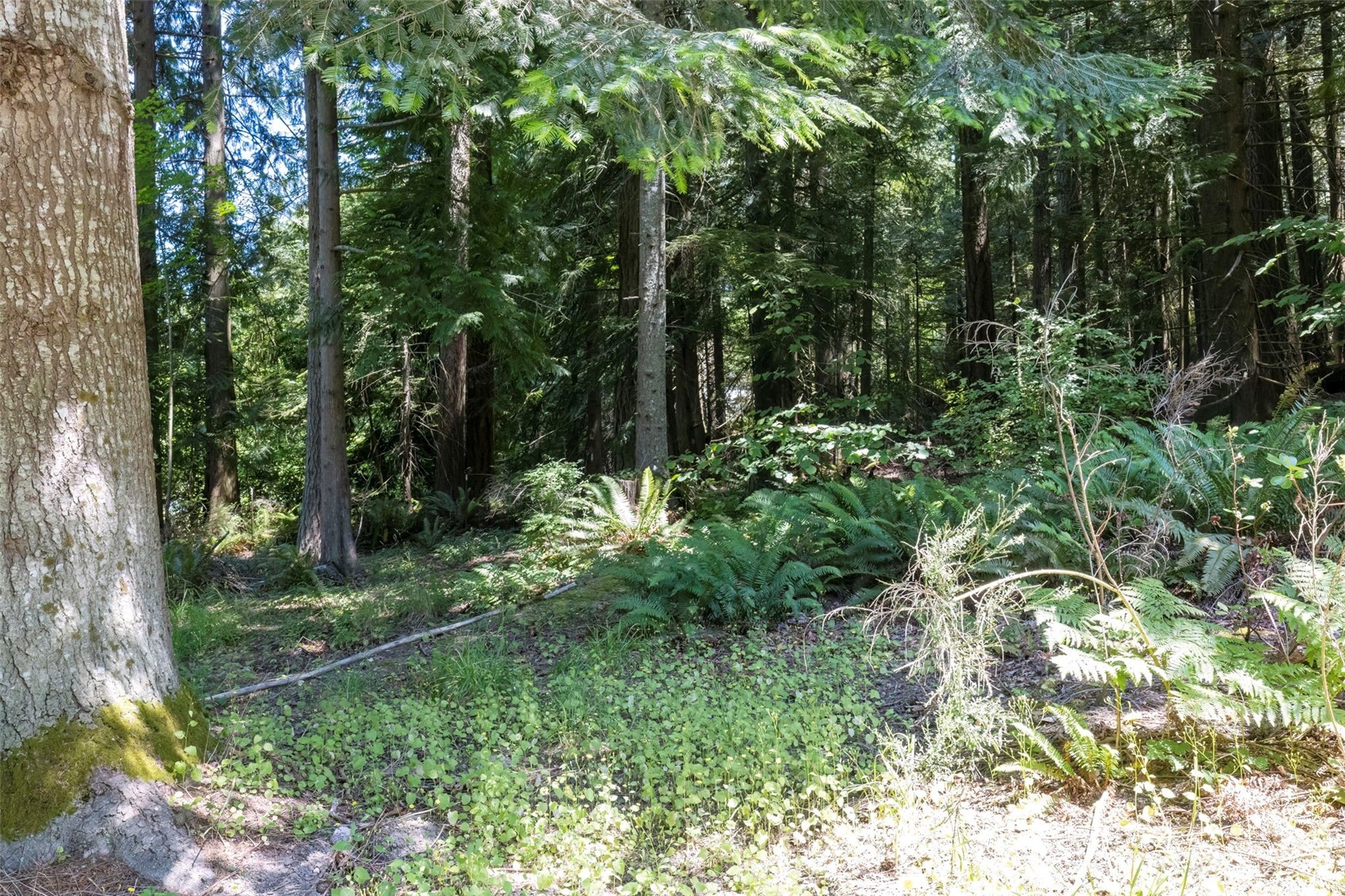 1661 Southwest Hanson Road Port Orchard, WA 98367 - Photo 40 of 40 Gallery Image 40
