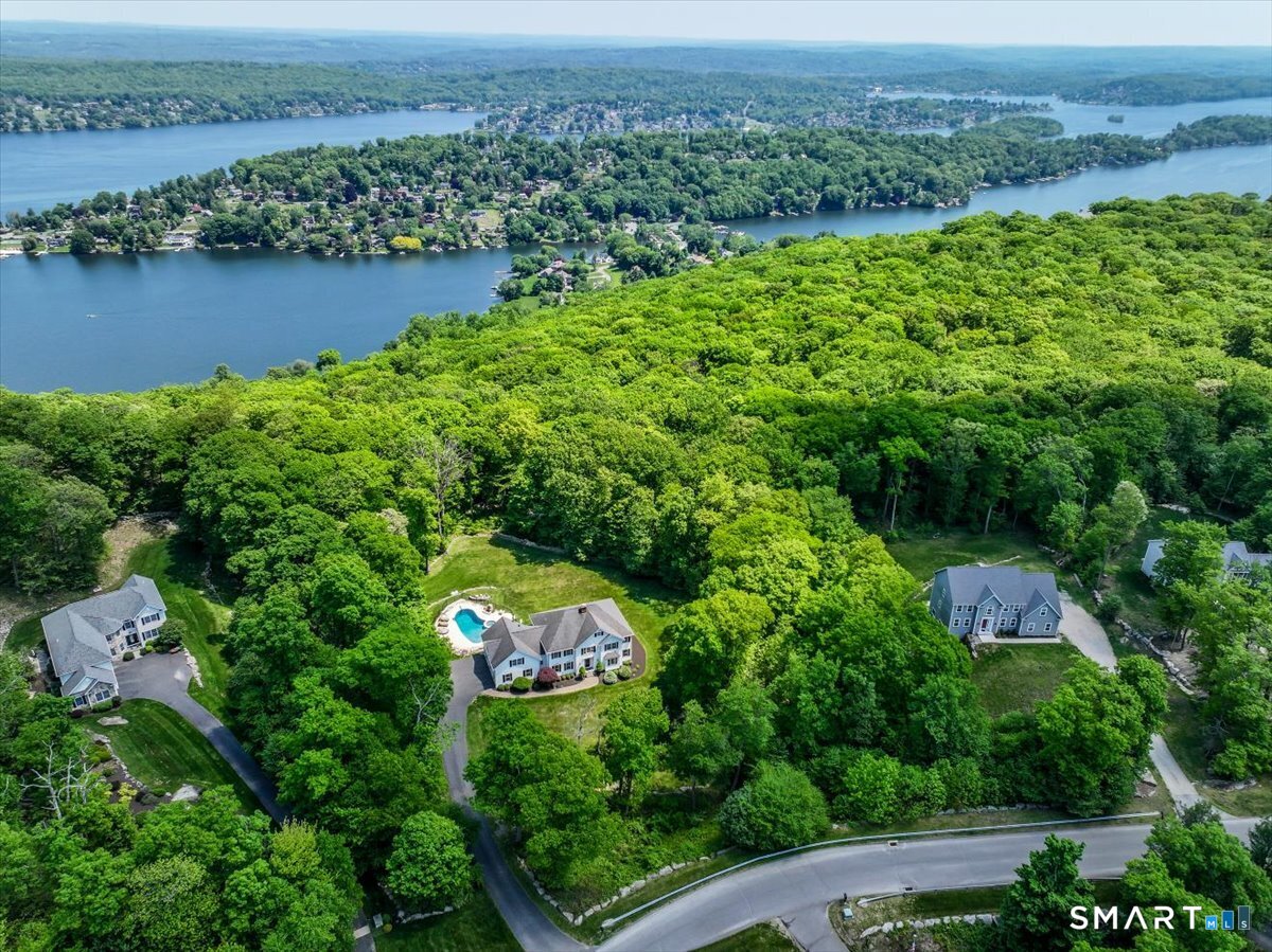 an aerial view of green landscape with trees houses and lake view