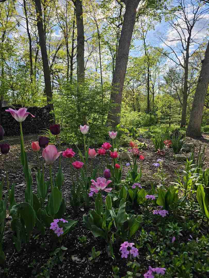 28W486 Mack Road West Chicago, IL 60185 - Photo 8 of 53