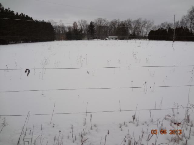2575 16 Mile Road Northeast Cedar Springs, MI 49319 - Photo 8 of 23 Additional Photo