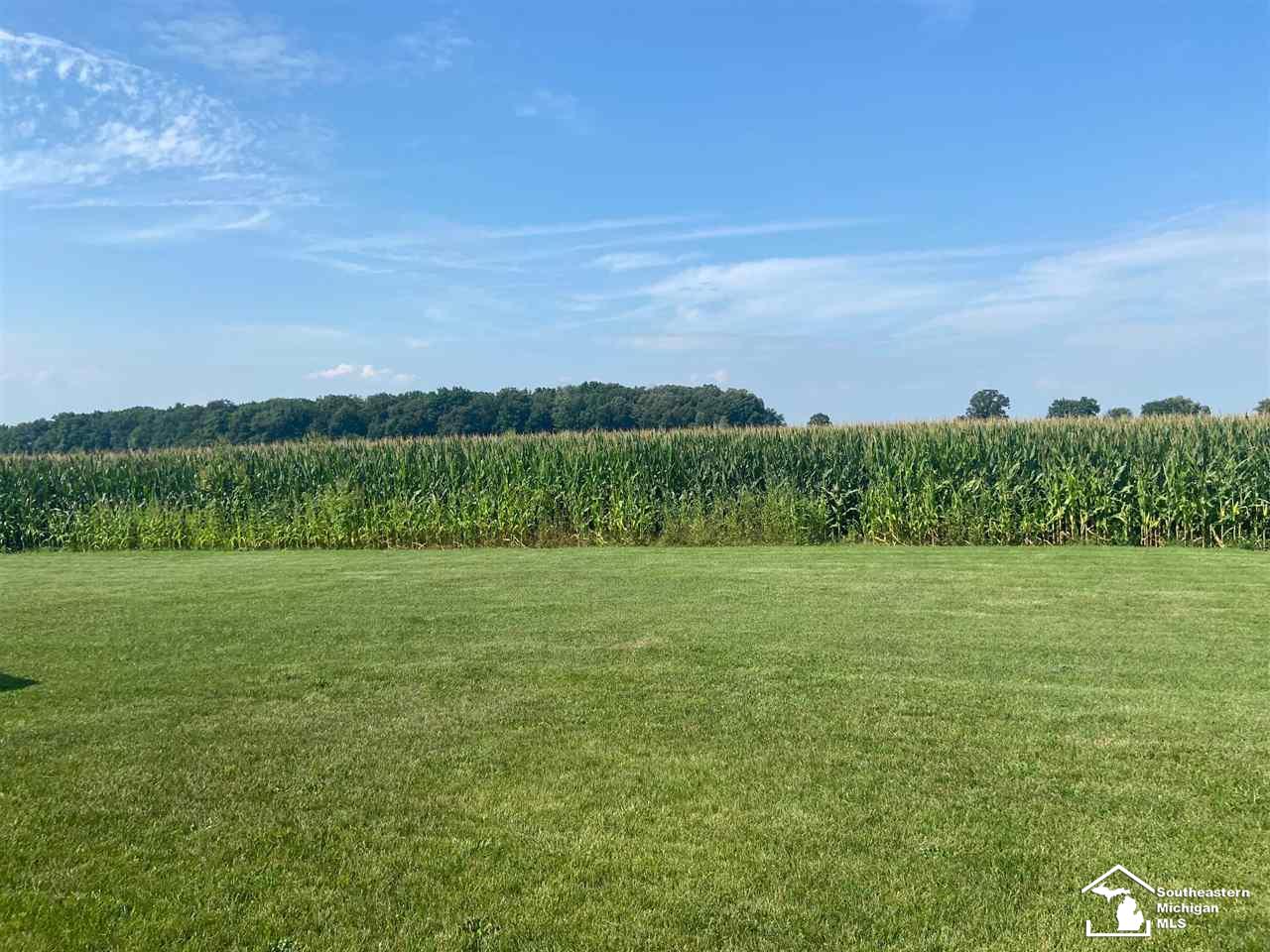 7210 West Dunbar Road Ida, MI 48140 - Photo 3 of 7