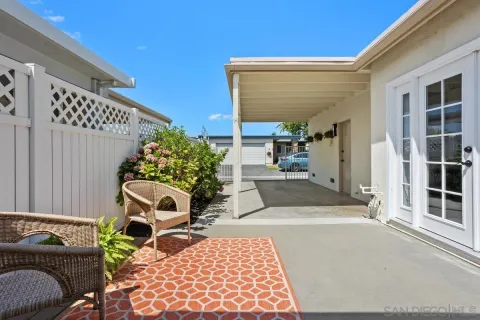 a potted plant sitting in front of a house