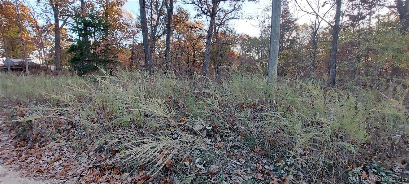 4268 Saw Mill Road Stover, MO 65078 - Photo 4 of 4 raw land with electric available