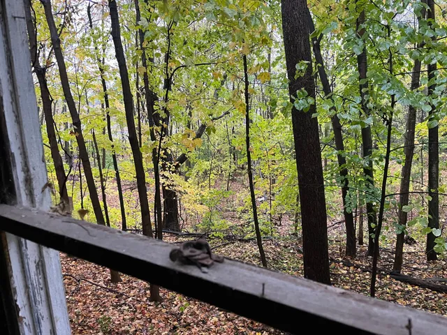 $225,000 | 10035 Pokegama Lake Road, Pine City, MN 55063