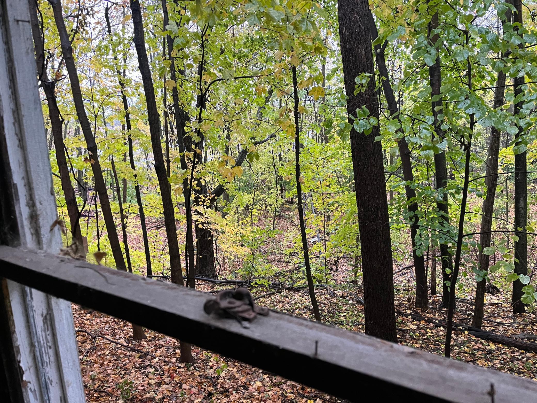 10035 Pokegama Lake Road Pine City, MN 55063 - Photo 26 of 28