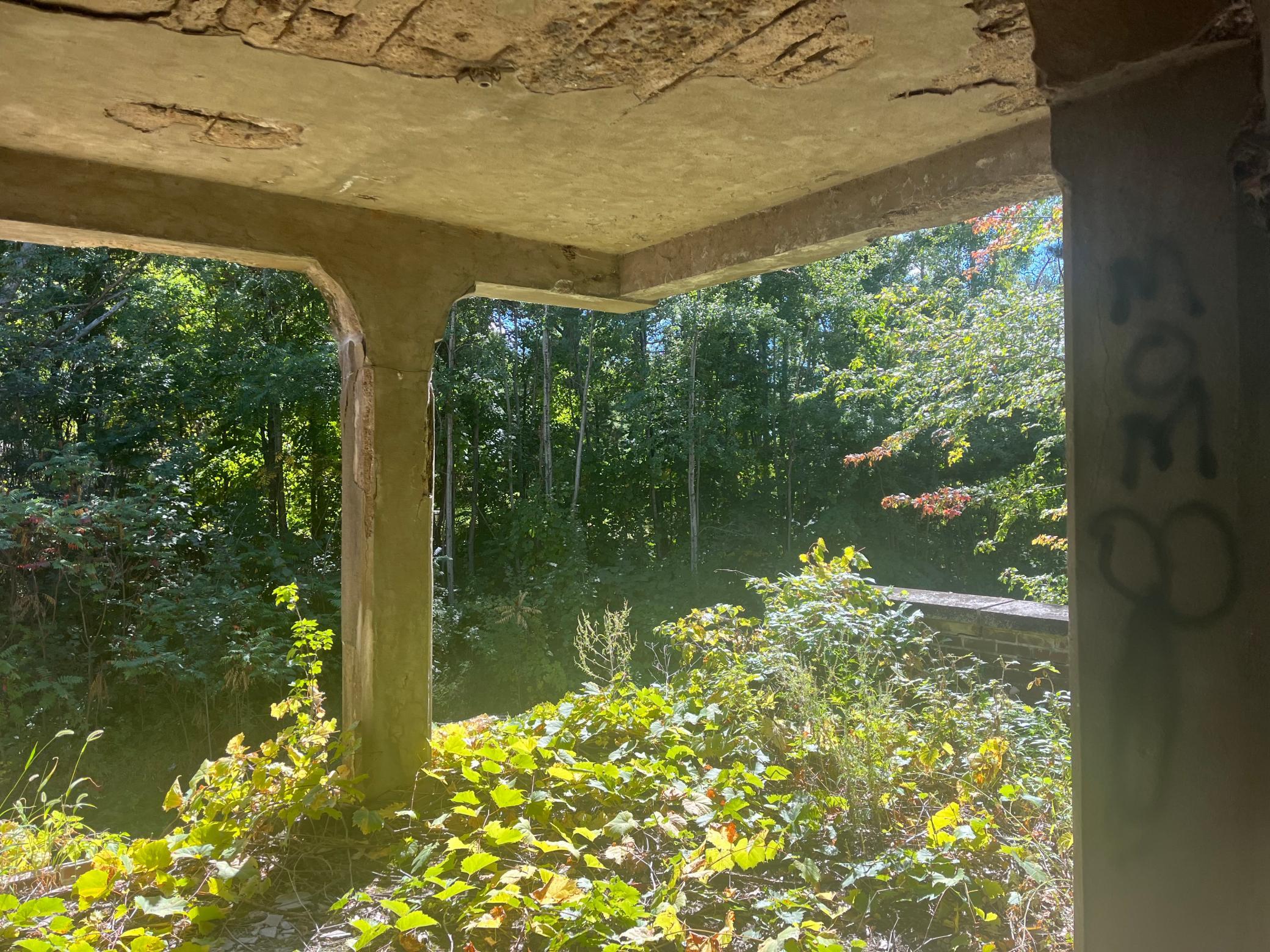 10035 Pokegama Lake Road Pine City, MN 55063 - Photo 8 of 28