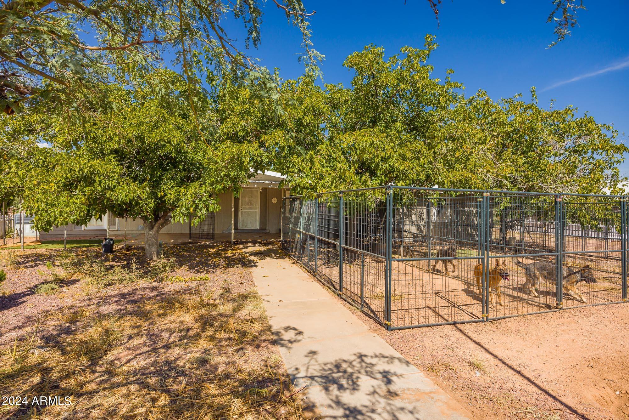 2980 West Williams Road Benson, AZ 85602 - Photo 3 of 32 a view of backyard with wooden fence and trees