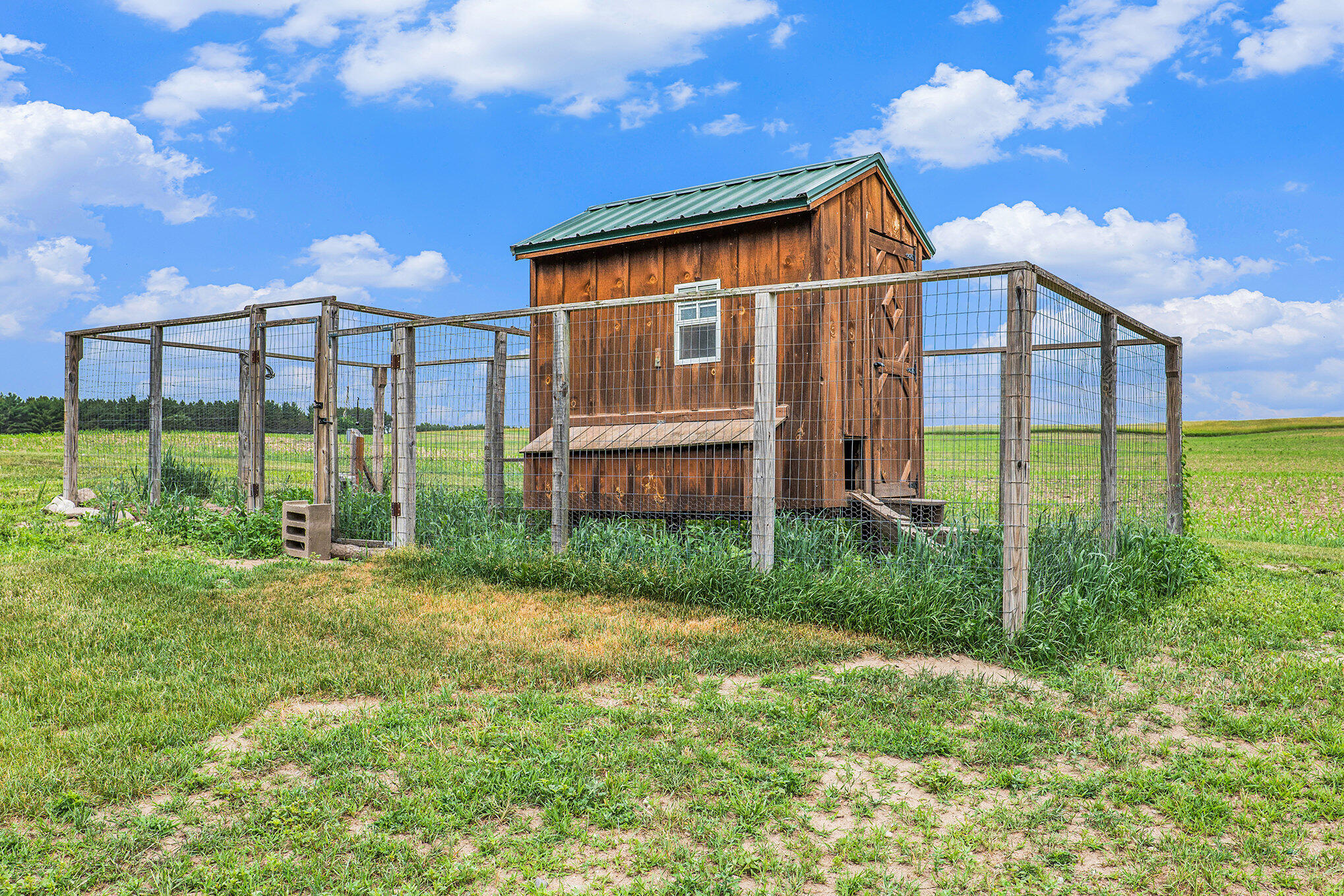 10770 21 Mile Road Evart, MI 49631 - Photo 10 of 35 Chicken Coop