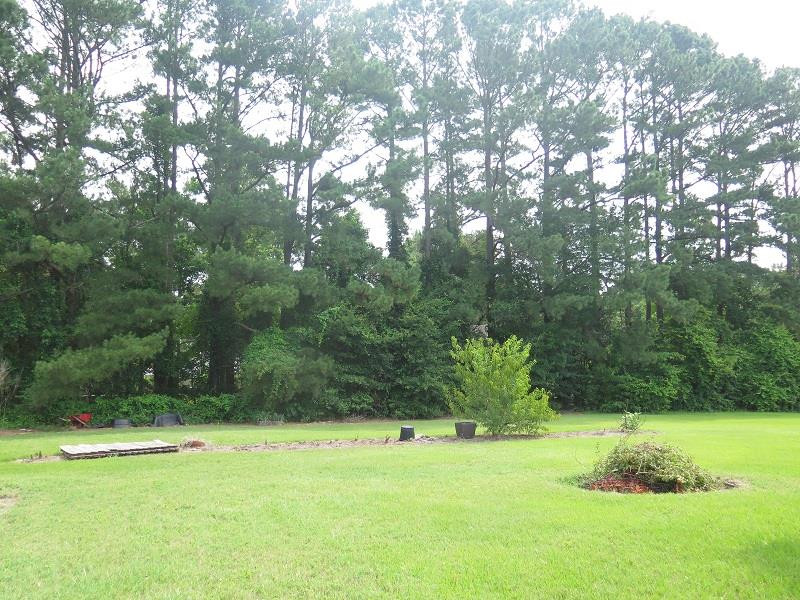 1540 Honeycutt Road Willow Spring, NC 27592 - Photo 16 of 16 Photo 16