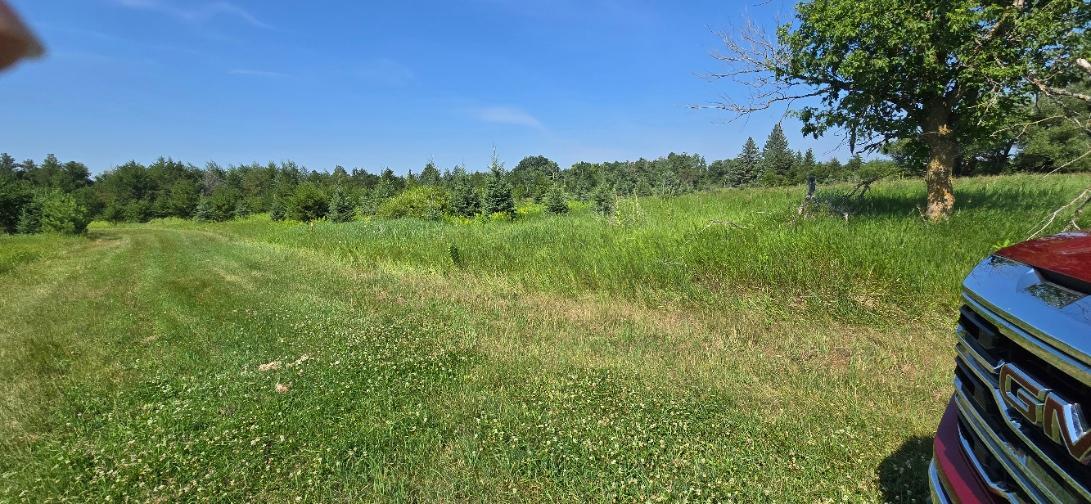 7 County Road 7 Verndale, MN 56481 - Photo 9 of 16 Gallery Image 9