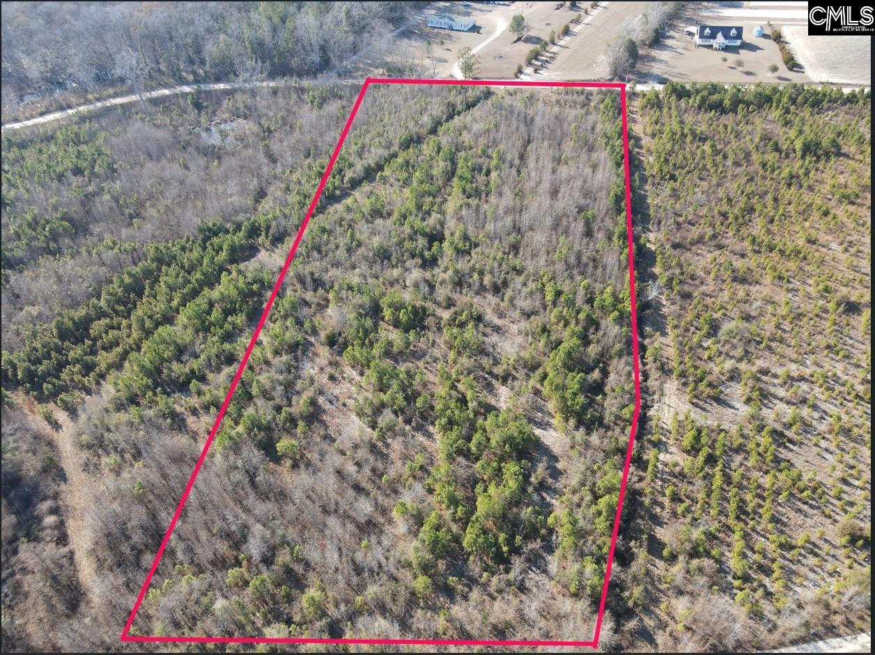 0 Proctor Road Cope, SC 29038 - Photo 3 of 11