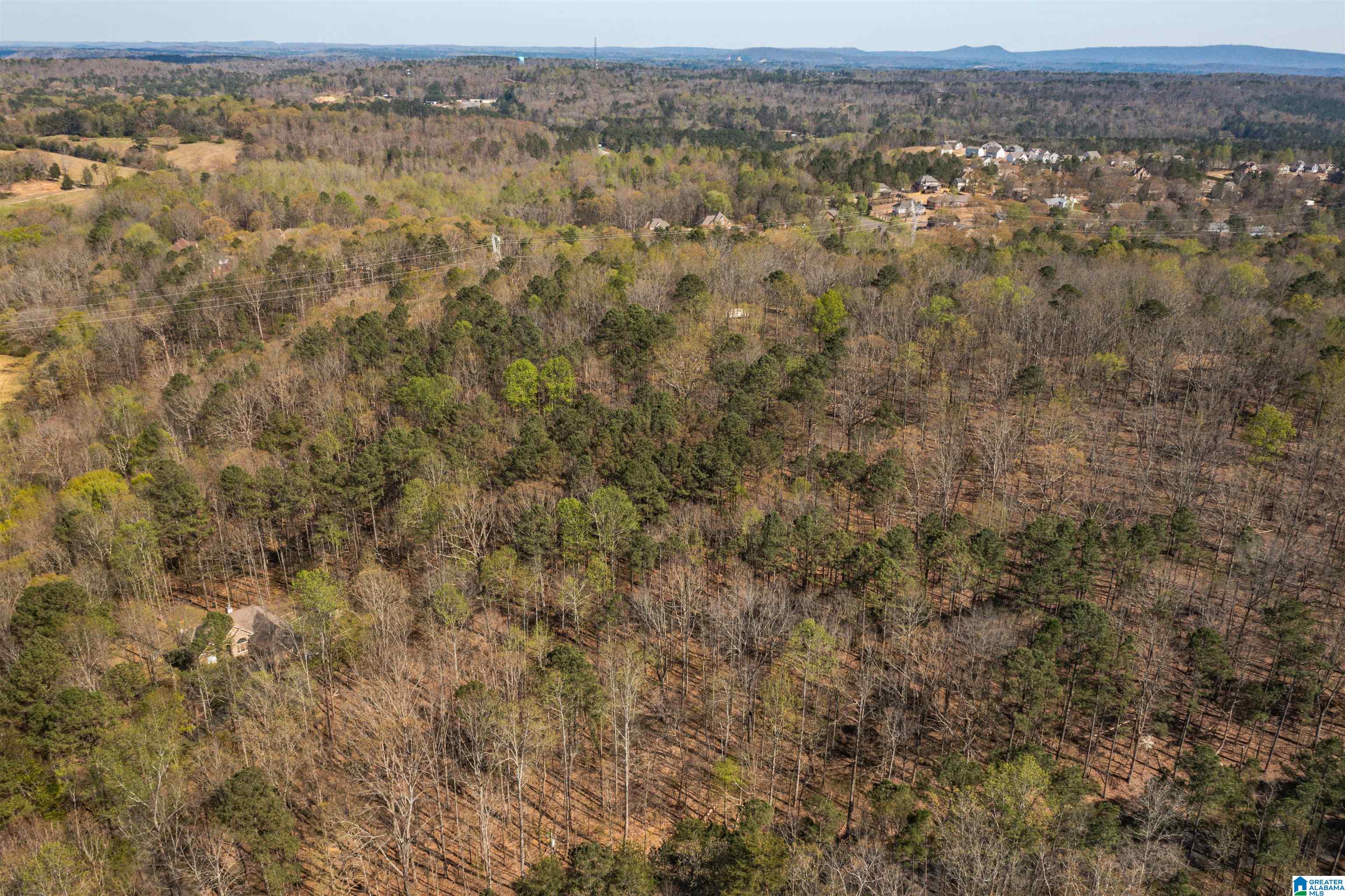 8244 Goodner Mountain Road, Unit 8244 Trussville, AL 35173 - Photo 4 of 6