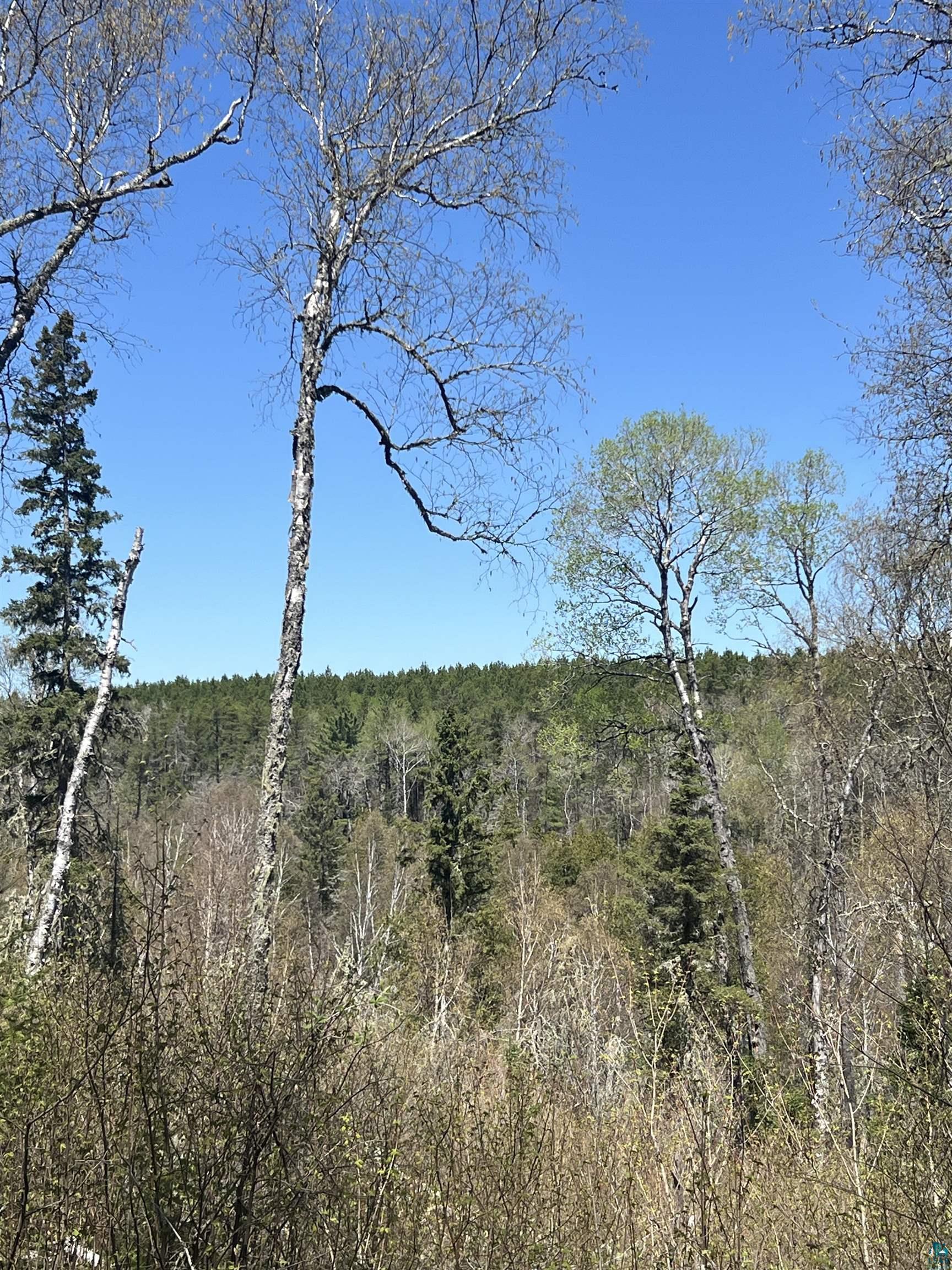 Xxx Xxx Moose Ridge Road Isabella, MN 55607 - Photo 13 of 37