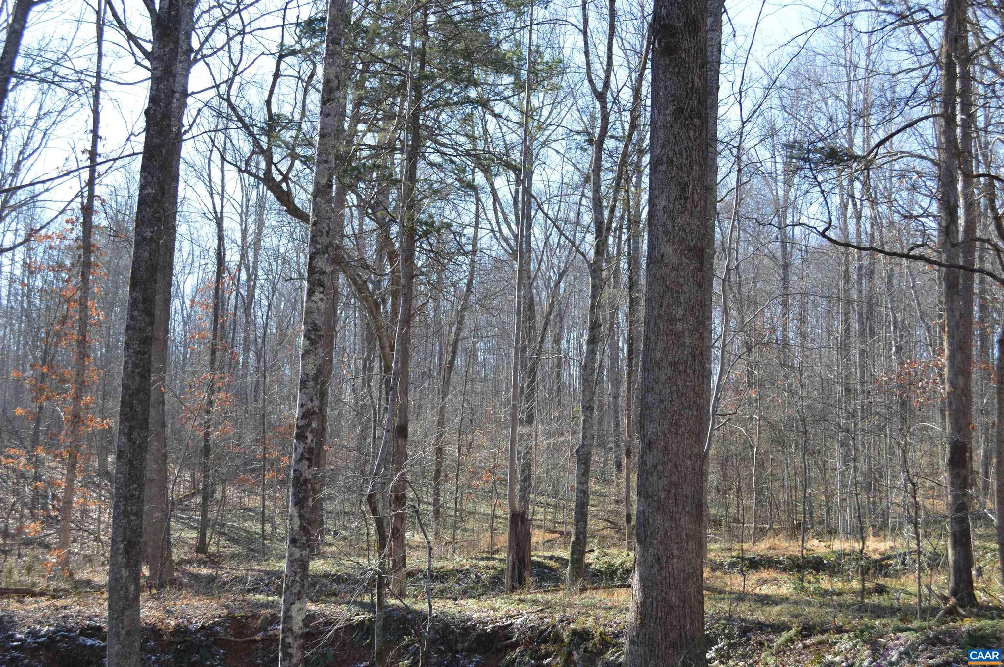 Frays Ridge, Unit 37 Earlysville, VA 22936 - Photo 11 of 18