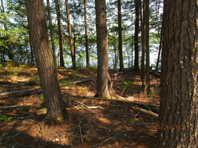 57-13 Smith Road Windsor, ME 04363 - Photo 4 of 9 IMG_0876