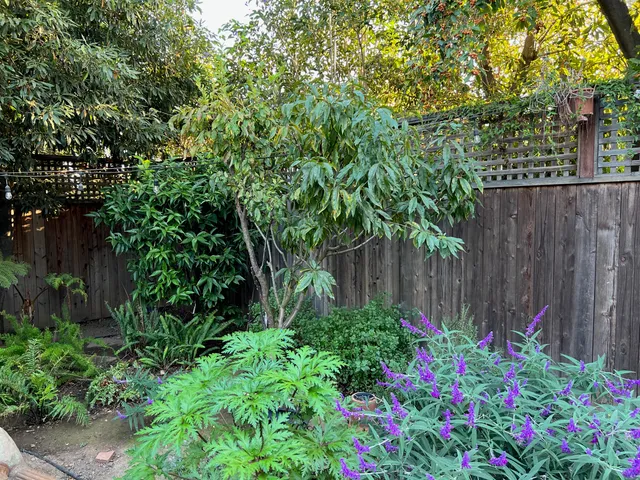 $4,950,000 | 118 East Islay Street, Santa Barbara, CA 93101