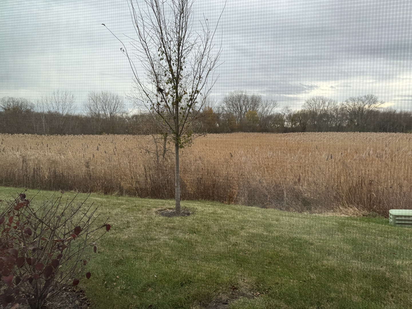 1209 Draper Road McHenry, IL 60050 - Photo 16 of 16 a view of a yard