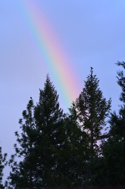 138 Draper Valley Road Selma, OR 97538 - Photo 42 of 42 rainbow