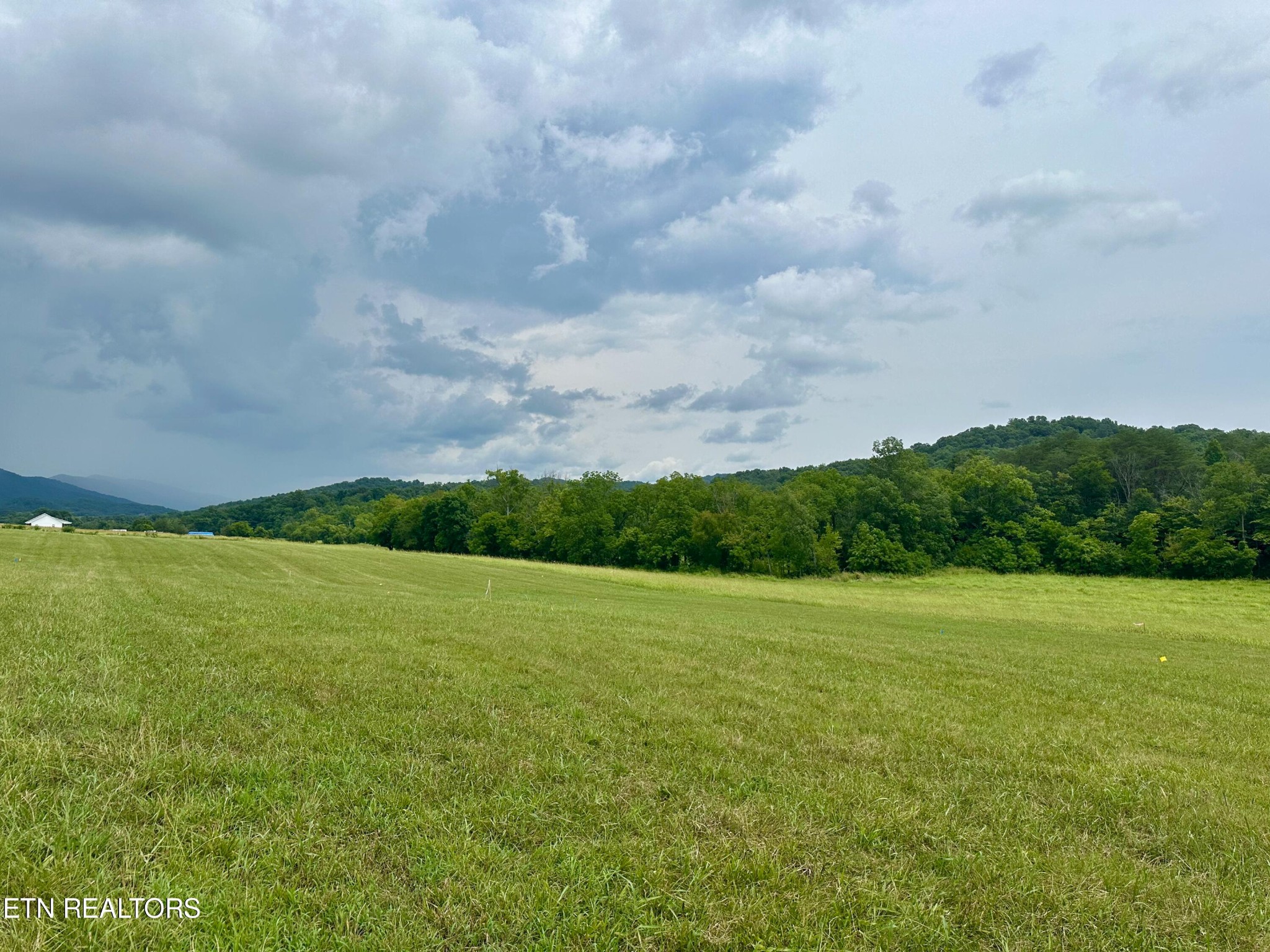 6 Rutledge Pike Blaine, TN 37709 - Photo 2 of 6 Gallery Image 2