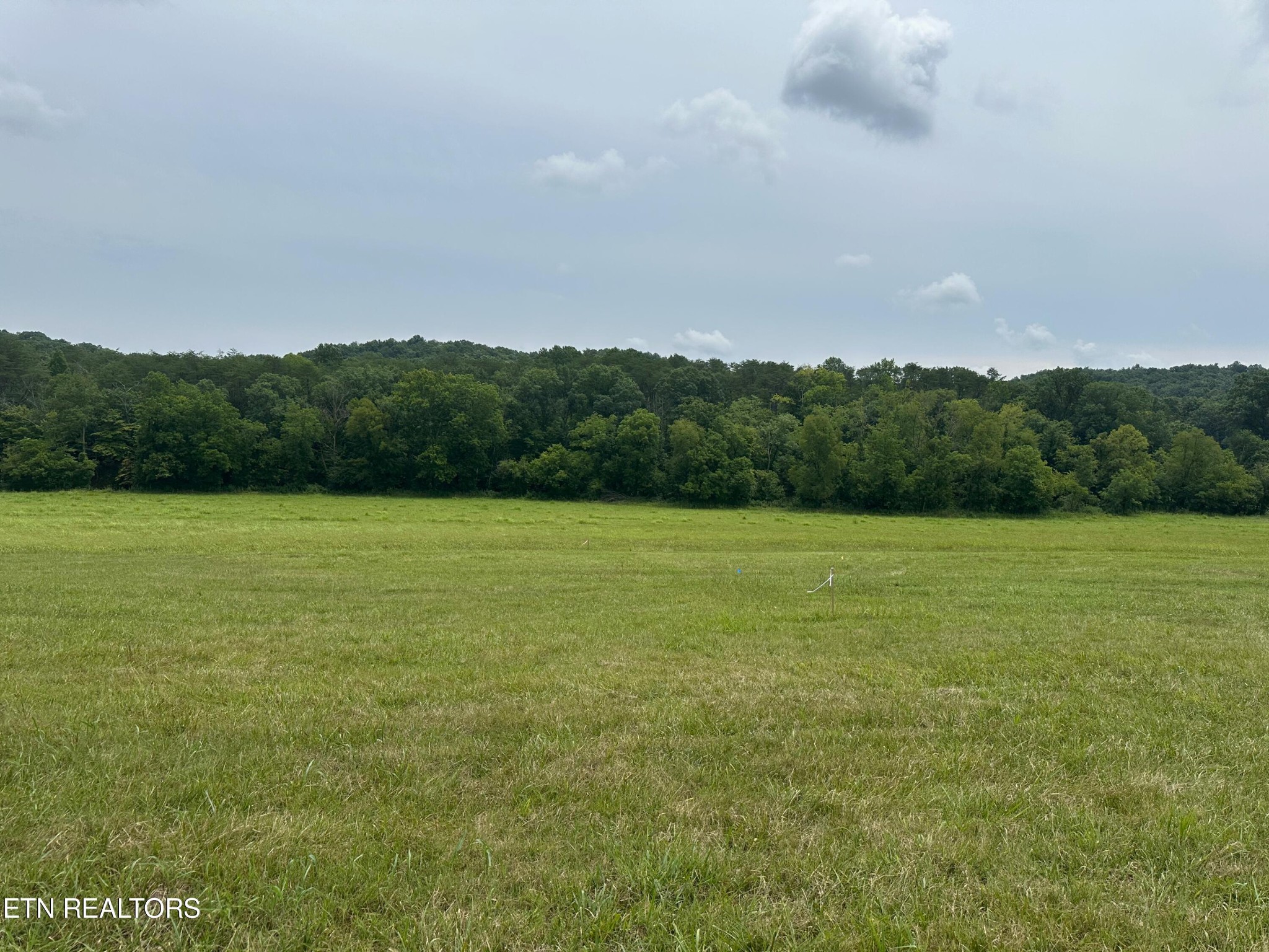 6 Rutledge Pike Blaine, TN 37709 - Photo 3 of 6 Gallery Image 3