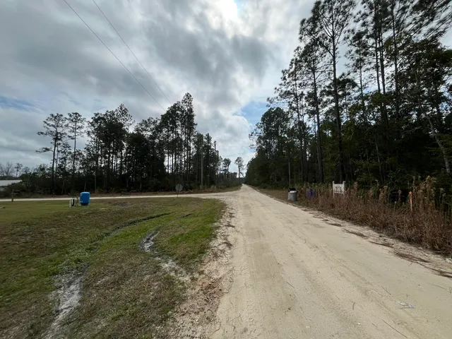a view of a yard with trees