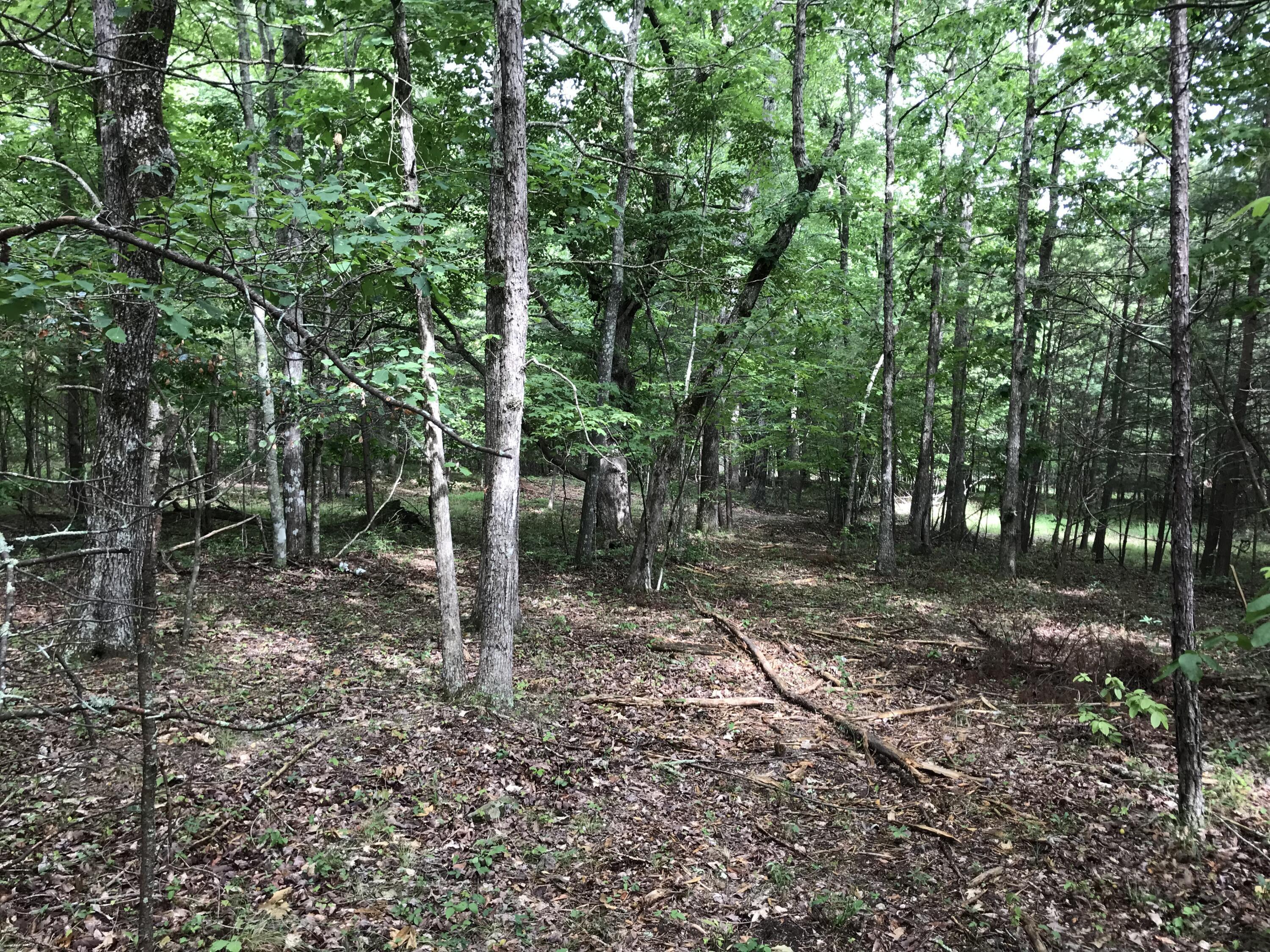 0 Quail Trail, Unit 38 Dunlap, TN 37327 - Photo 14 of 36 IMG_8537
