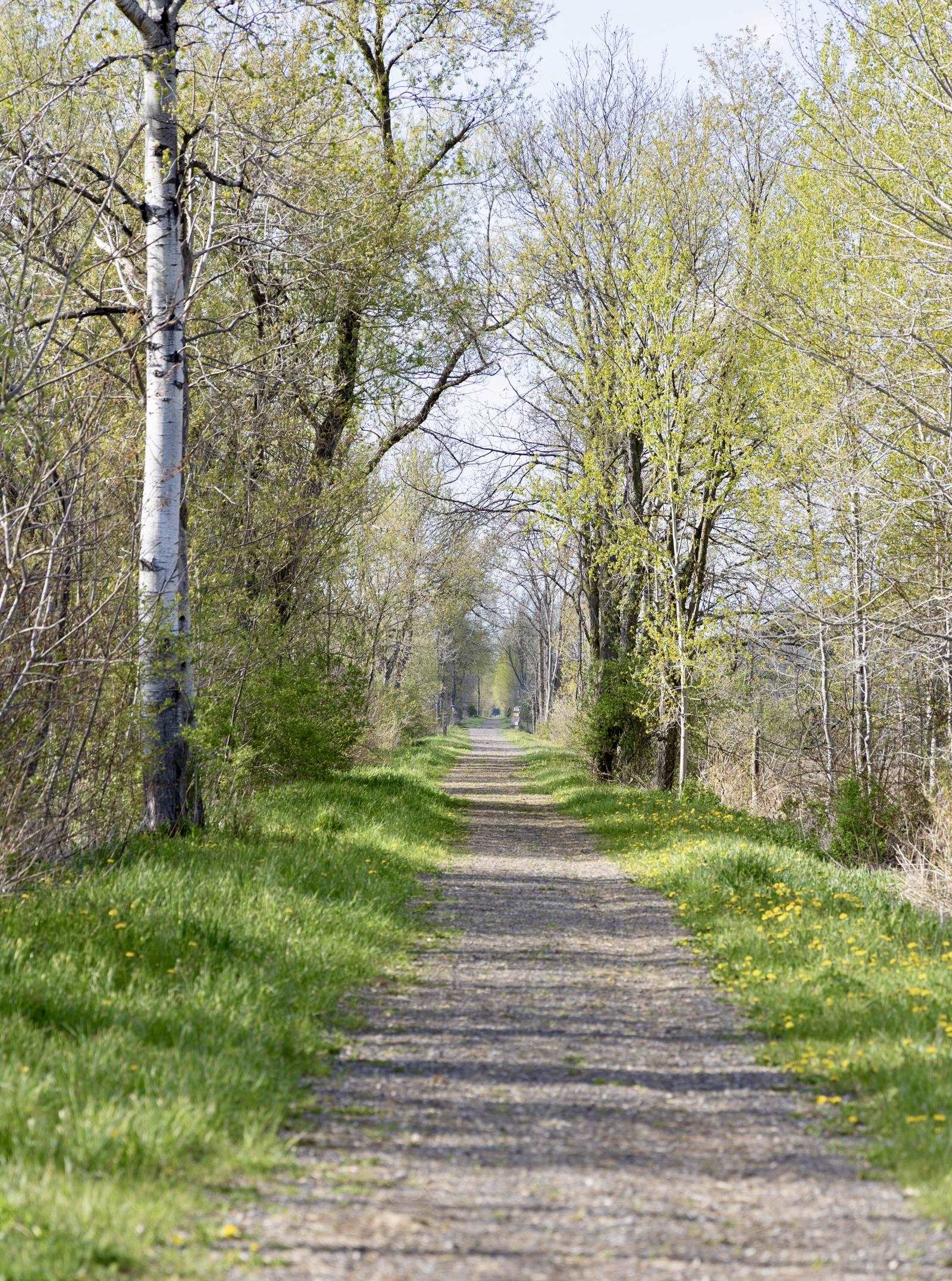 1333 Highway 153 Pawlet, VT 05775 - Photo 54 of 59