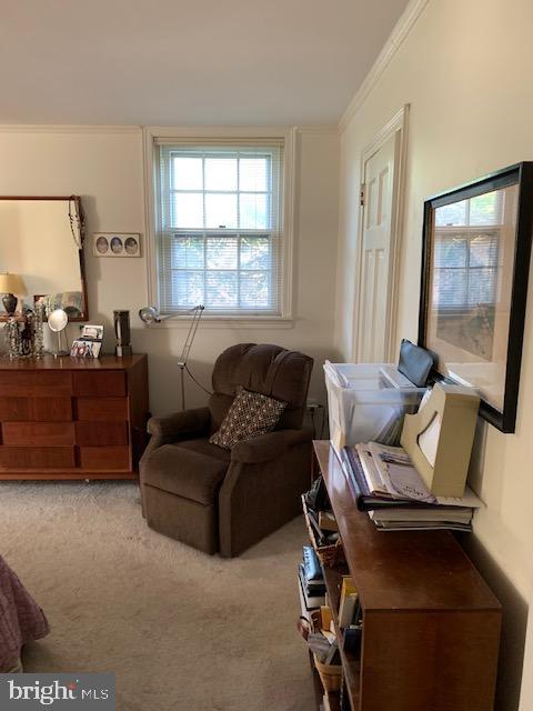 7006 Sherwood Road Philadelphia, PA 19151 - Photo 21 of 33 Gallery Image 21