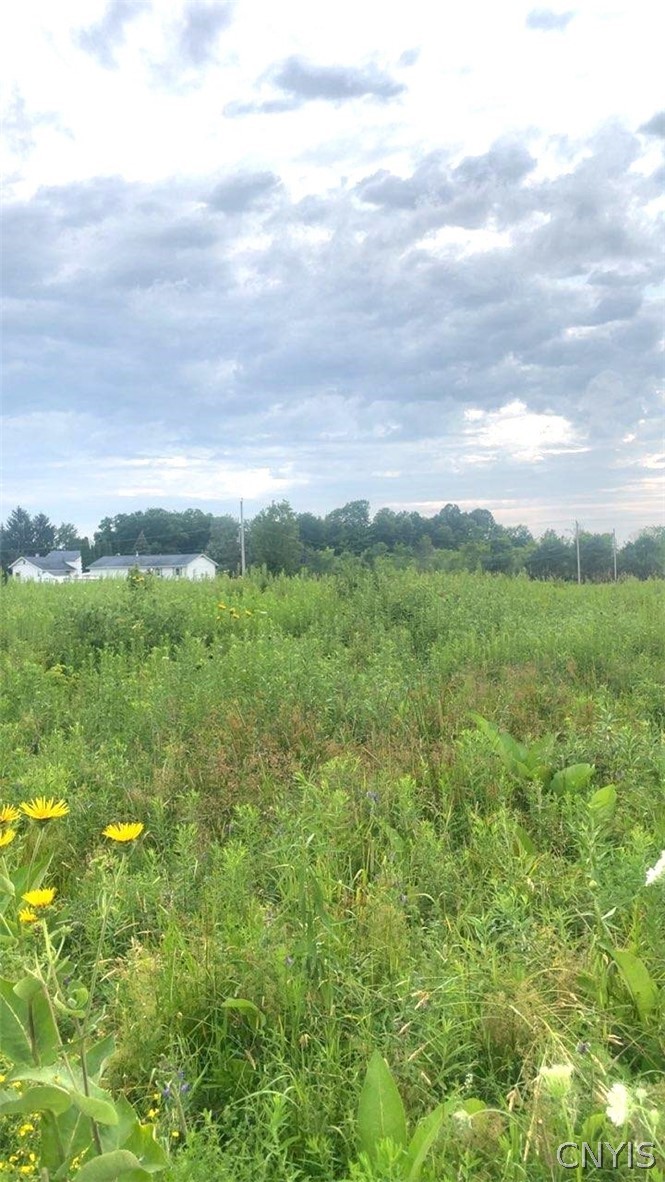 Rockbrook Estates Rd Road Evans Mills, NY 13637 - Photo 14 of 21