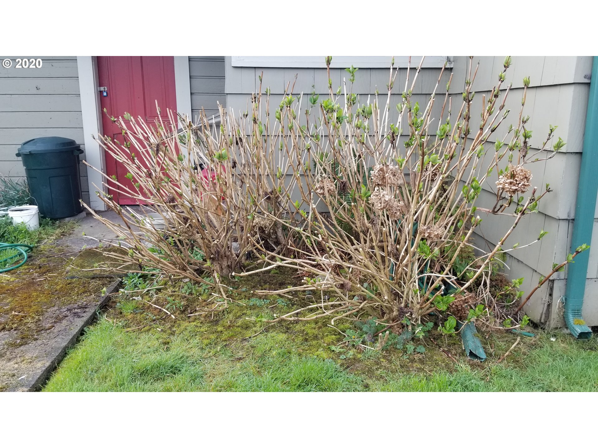 909 B Street Myrtle Point, OR 97458 - Photo 28 of 30 Gallery Image 28